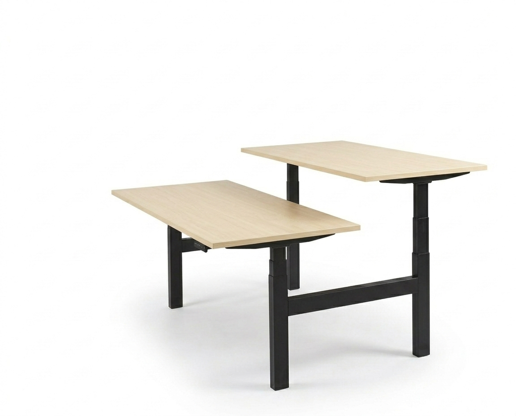 Derijks Duo Up! Zit-sta bureau