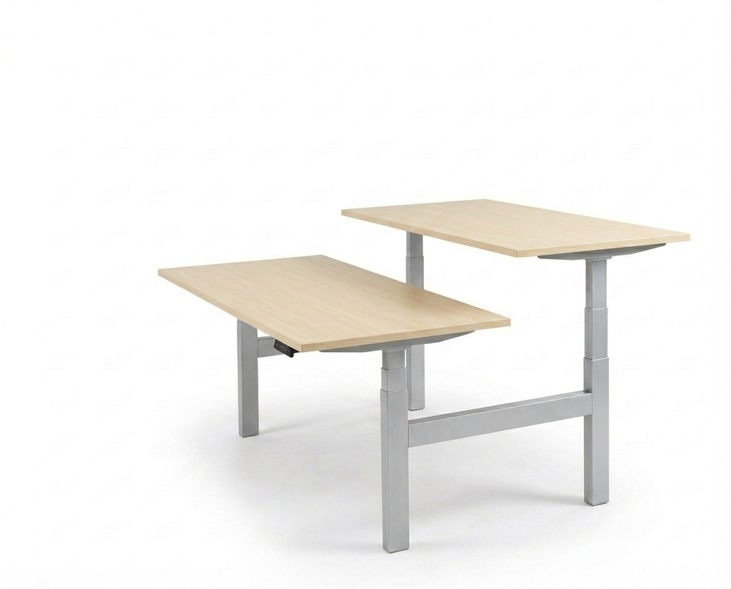 Derijks Duo Up! Zit-sta bureau
