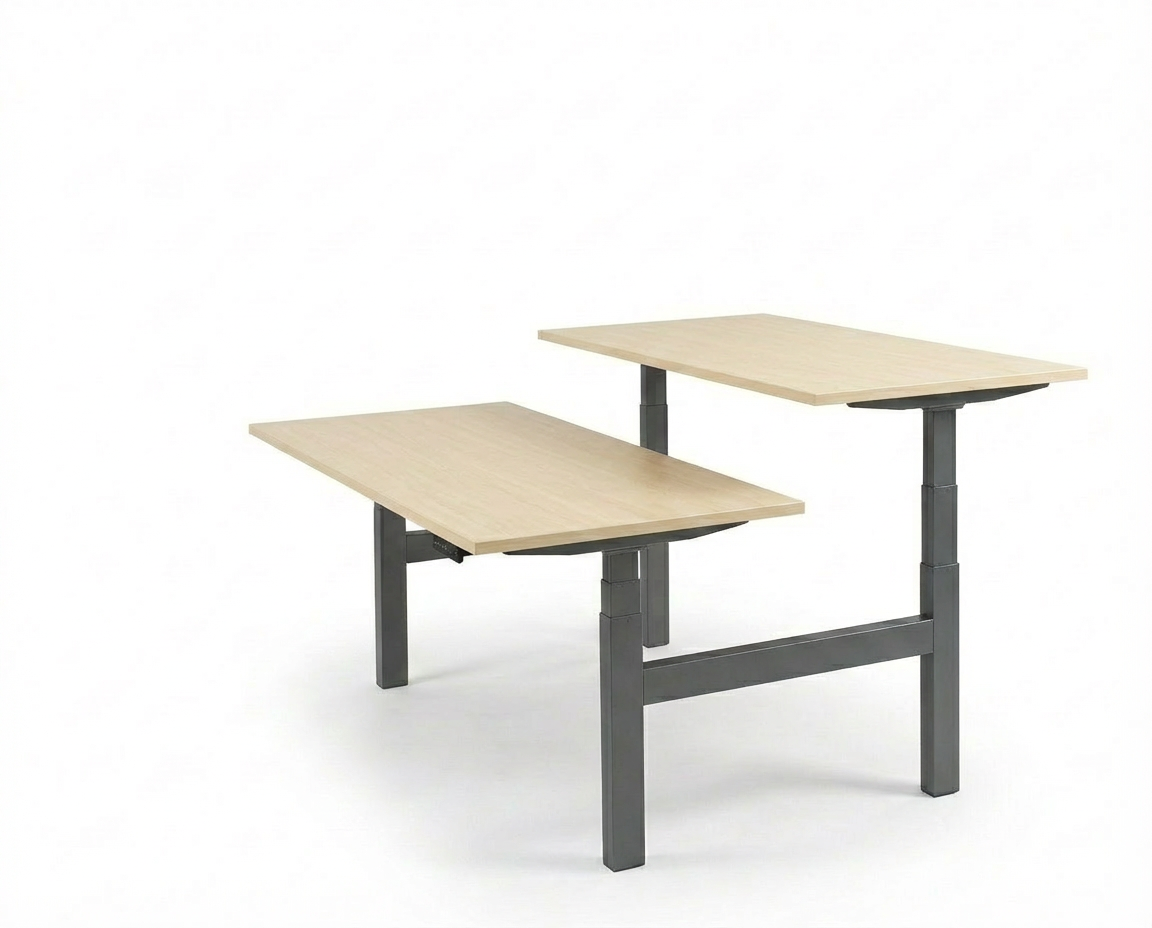Derijks Duo Up! Zit-sta bureau