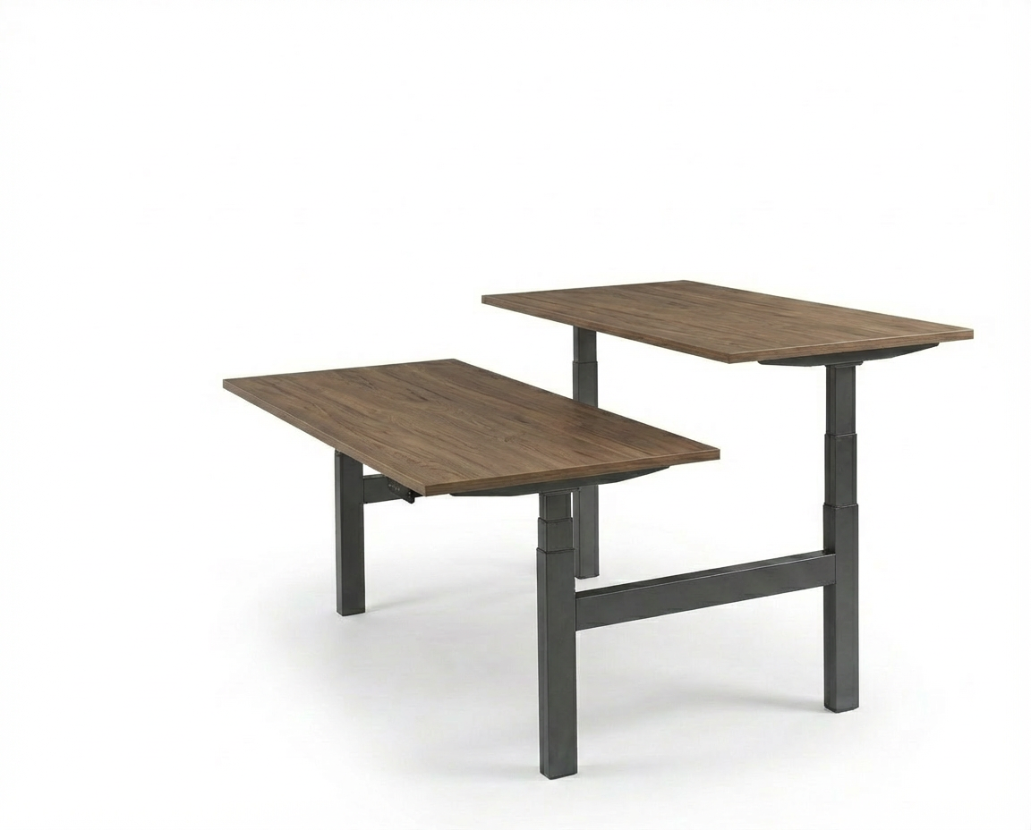Derijks Duo Up! Zit-sta bureau