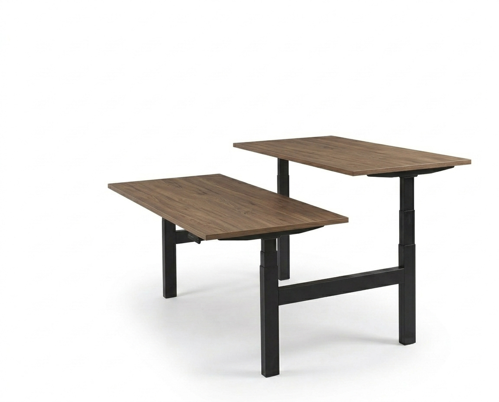 Derijks Duo Up! Zit-sta bureau