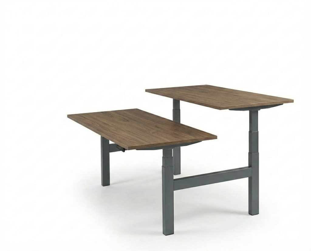Derijks Duo Up! Zit-sta bureau