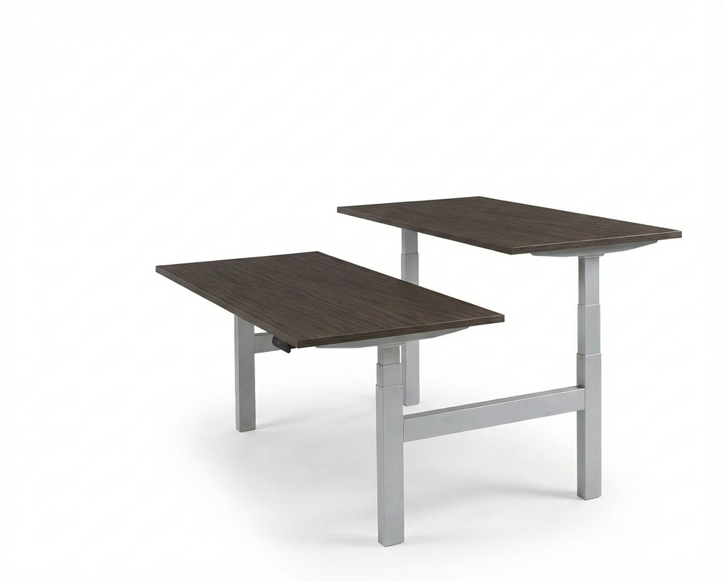 Derijks Duo Up! Zit-sta bureau