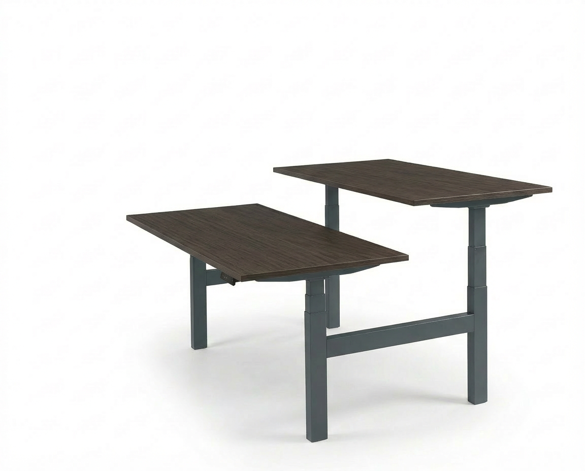 Derijks Duo Up! Zit-sta bureau