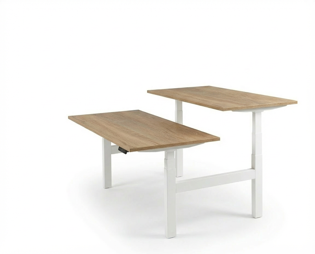 Derijks Duo Up! Zit-sta bureau