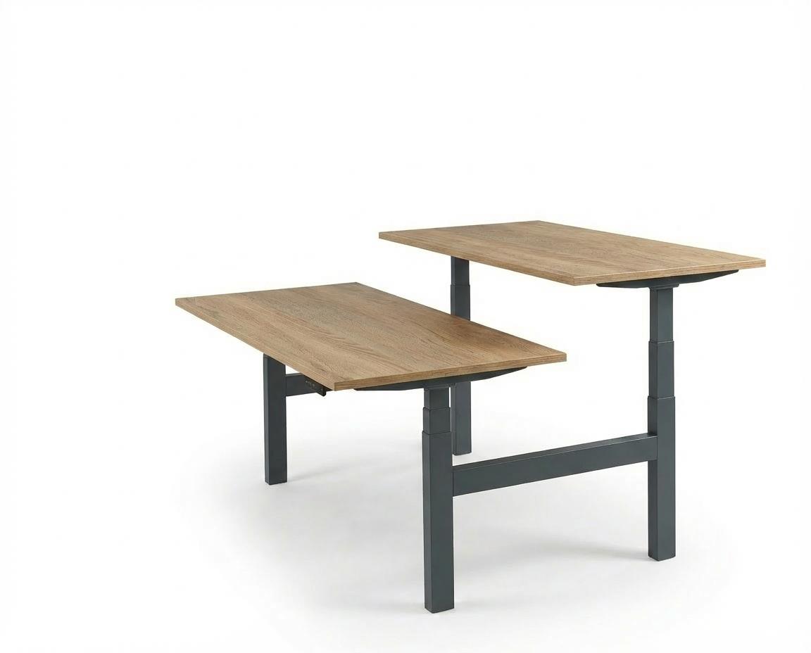 Derijks Duo Up! Zit-sta bureau