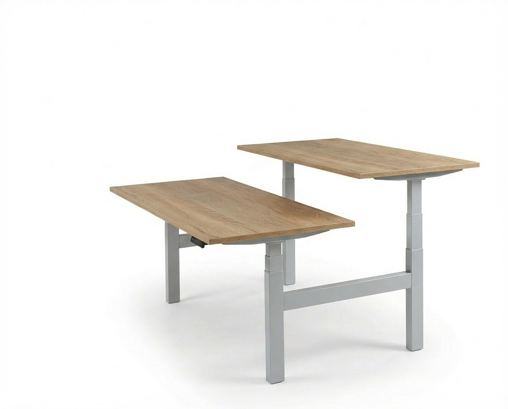 Derijks Duo Up! Zit-sta bureau