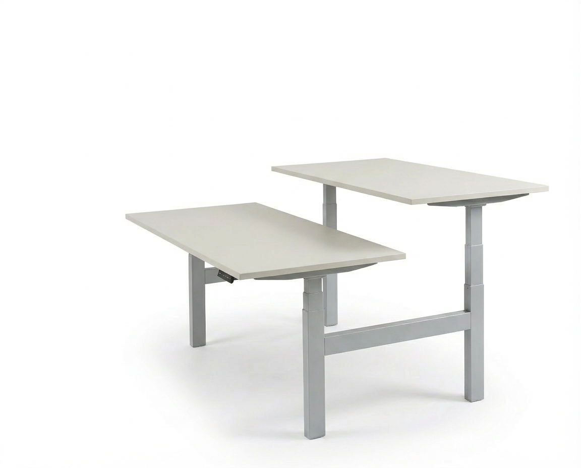 Derijks Duo Up! Zit-sta bureau