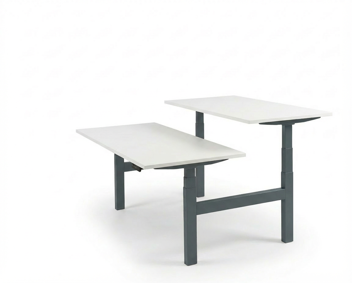 Derijks Duo Up! Zit-sta bureau
