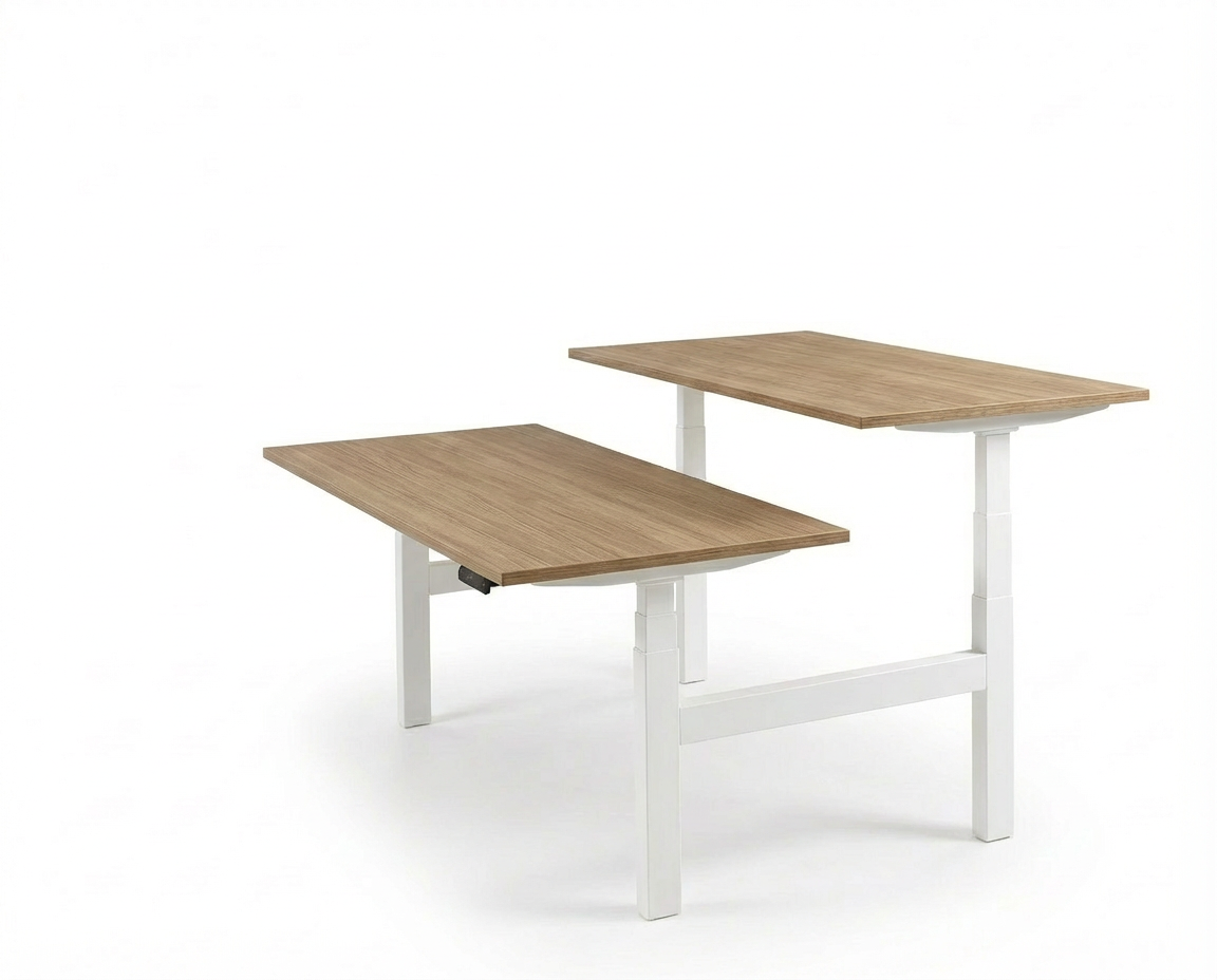 Derijks Duo Up! Zit-sta bureau