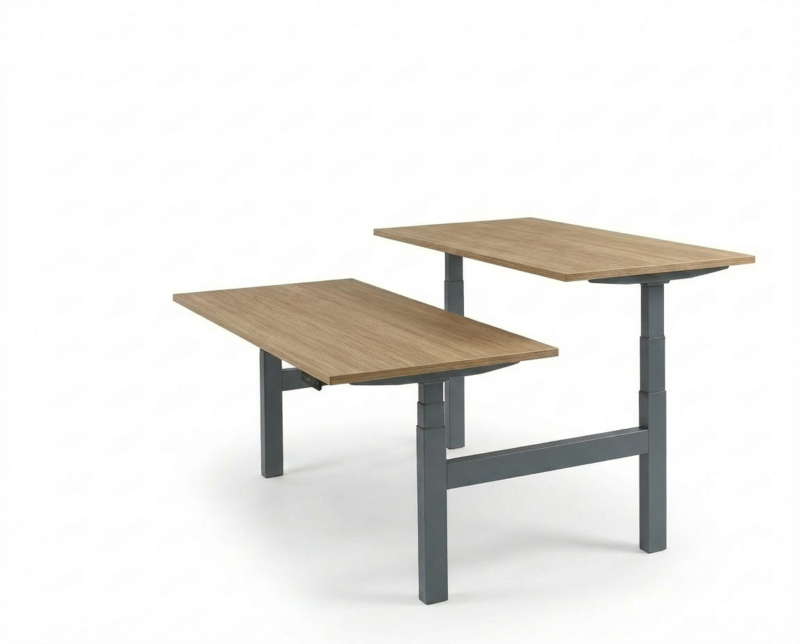 Derijks Duo Up! Zit-sta bureau