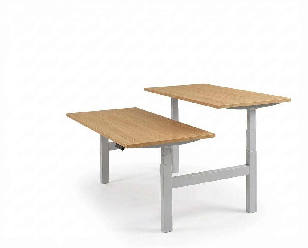 Derijks Duo Up! Zit-sta bureau