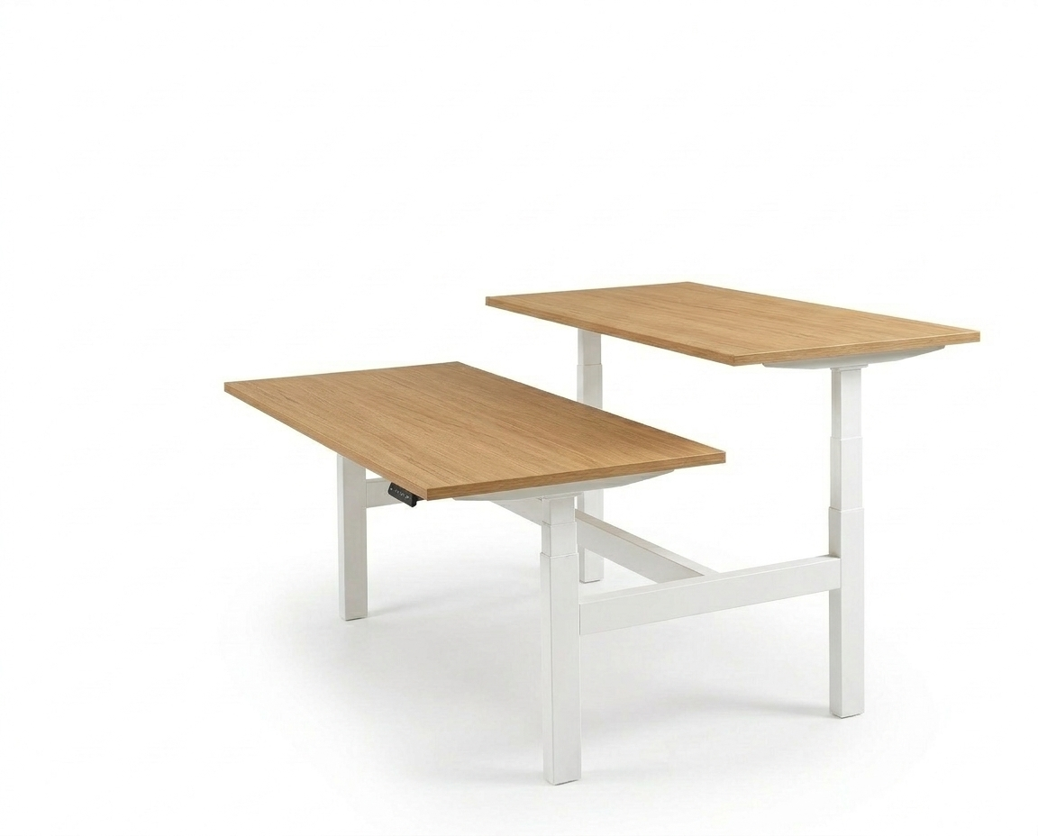 Derijks Duo Up! Zit-sta bureau